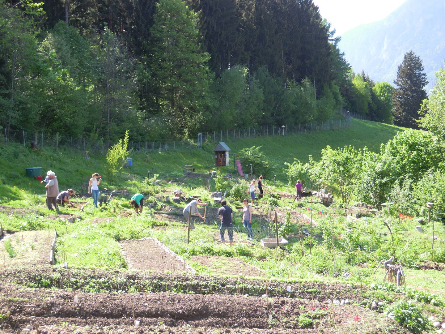 Waldhüttl Garten