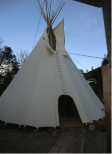 Tipi